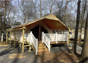 Holly Shores Safari Tent